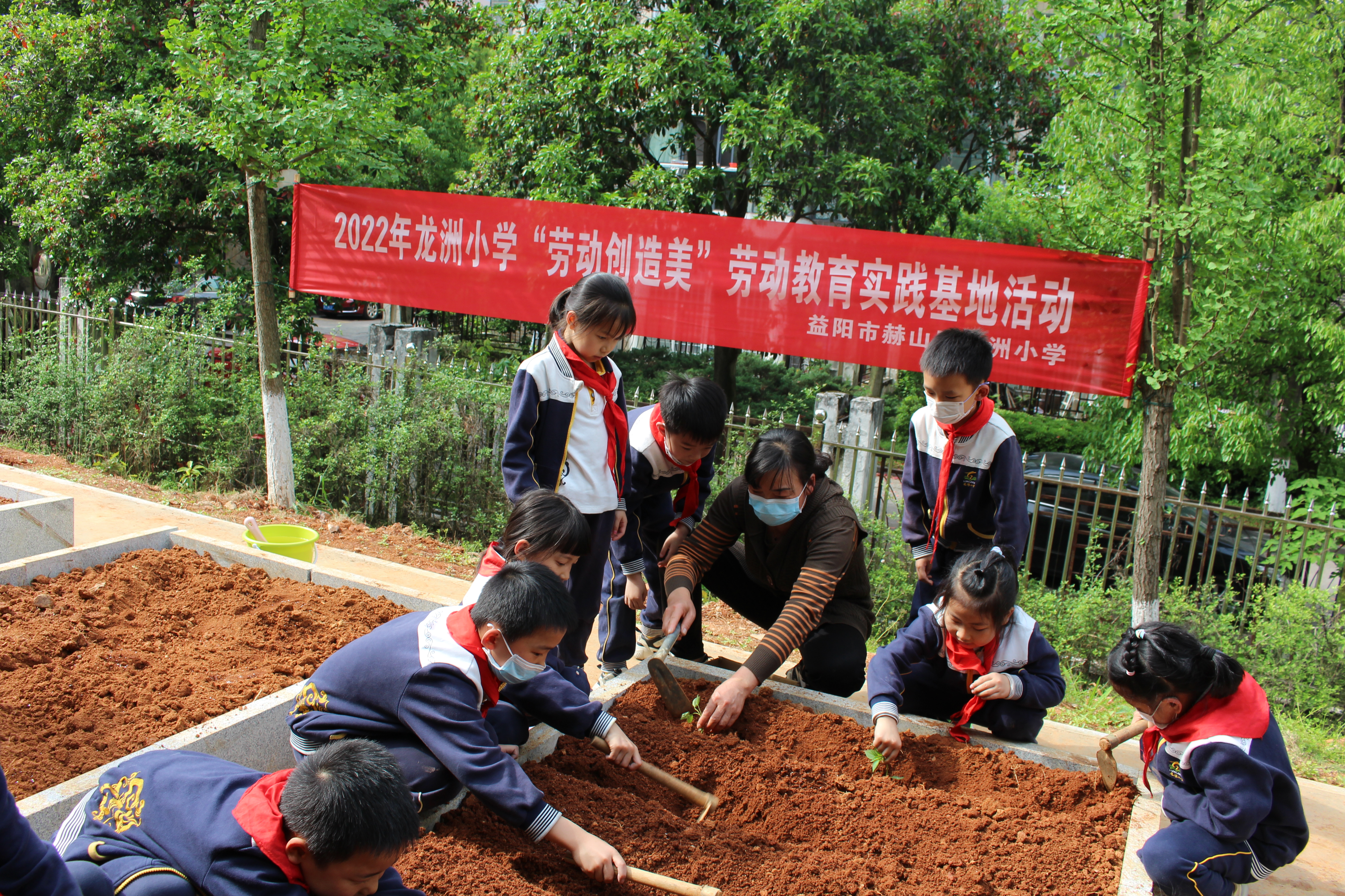 龙洲小学劳动教育实践基地种植活动.jpg