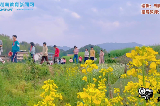 #小记者在现场 【衡阳县站】盘石完全小学：鼠曲草的见证——清明·青团·家风（小记者 綦意缘 指导教师 阳静）