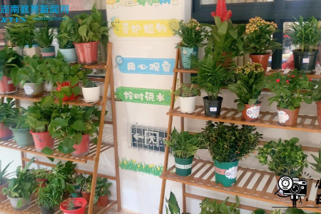 #小记者在现场 【衡阳县站】英南学校：加强班级文化建设 发挥环境育人功能（小记者 蒋湘健 指导教师 陈淑媛）